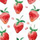 草莓草莓外贸内裤店