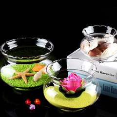 创意水族箱生态圆形花边形玻璃金鱼缸乌龟缸迷你小型造景水培花瓶