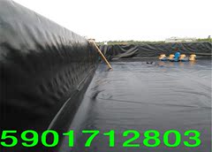 HDPE土工膜/鱼塘养殖防渗膜/藕池膜/土工膜/防水板/土工膜厂家