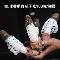 青川原生态天然土特产野外种植短裙竹荪无硫肉厚香脆干货100g包邮