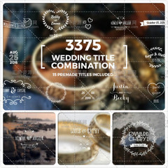 欧式优雅小清晰浪漫婚礼庆典人名日期标题介绍AE模板