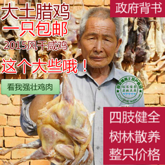 河南土特产农家风干鸡正宗十里铺腌制咸鸡整只农村散养土鸡腊鸡