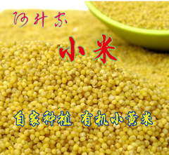 沂蒙山区有机 黄小米 月子米 小黄米 宝宝米 500g无化肥农药