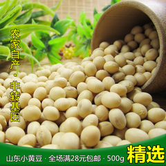 小黄豆 打豆浆专用 山东农家自产大豆精选 非转基因 500g