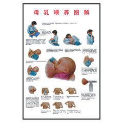 妇幼保健催乳亲子宣传海报 母乳喂养图解宣传画 医院挂图写真防水