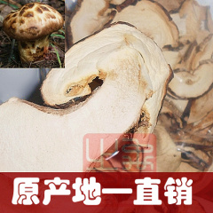 包邮新货云南野生松茸菌稀有菇干货蘑菇原产地松茸片100g