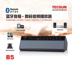 tecsun/德生 B5蓝牙音箱插卡3D音效播放器调频收音机（配送4G卡）