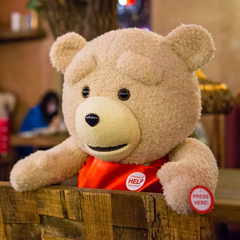 ted熊公仔正版会说话的泰迪熊毛绒玩具抱抱熊猫娃娃女孩生日礼物