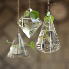 创意玻璃瓶悬挂花瓶麻绳吊瓶 水培植物透明小挂瓶绿萝铜钱草花盆