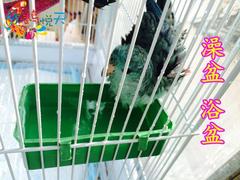 澡盆 浴盆 虎皮牡丹鹦鹉 文鸟 十姐妹珍珠鸟用具 洗澡用 可当食槽