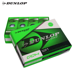 DUNLOP登路普高尔夫球双层两层练习球下场比赛球包邮