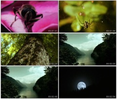 S26蓝天白云峡谷月亮河流瀑布昆虫森林实拍大屏幕高清视频素材