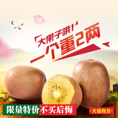 【新品大果】四川特产 蒲江黄心猕猴桃 新鲜水果金艳金果奇异果