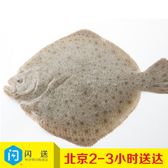 北京闪送冰鲜多宝鱼新鲜深海捕捞每条600g清蒸精品高档食