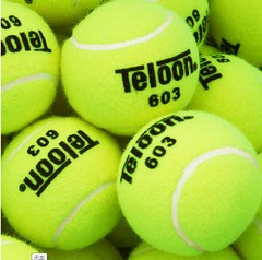 正品Teloon天龙 网球 603 经久耐用弹性好硬地红土全能训练球特价