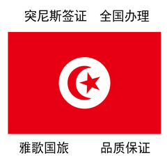 突尼斯旅游签证 全国办理 资料简单