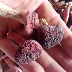 福建武夷山正宗野生天然红菇干货小香菇红蘑菇福建特产250g特价