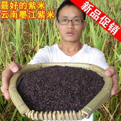 云南特产 正宗墨江紫米 老品种 月子米 血糯米 五谷杂粮 紫糯米