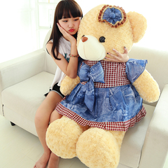 穿裙子的熊公仔毛绒玩具熊熊可爱泰迪熊娃娃粉色抱抱熊情人节礼物