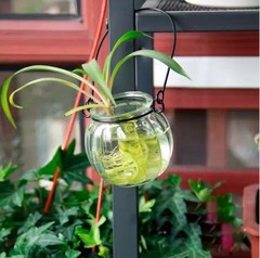 创意南瓜吊瓶 透明玻璃水培花盆悬挂式插花容器 铁线提手吊挂花瓶