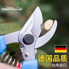 进口园艺剪刀德国钢材修剪树枝园林工具果树剪子修枝剪花枝粗枝剪