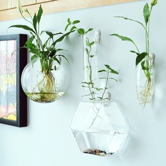 墙壁挂饰玻璃花瓶 创意简约家居客厅富贵竹绿萝水培透明花瓶装饰