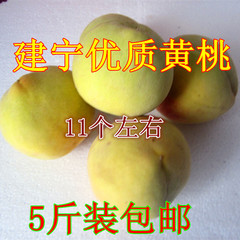 建宁现摘新鲜黄桃桃子孕妇水果建宁特产闽态生态农家水果5斤包邮