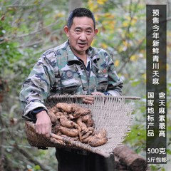 原生态青川新鲜天麻 500克一份个头100克以上 5斤可包邮