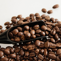云南小粒咖啡 云岭咖啡豆500克 中度烘焙香味浓郁