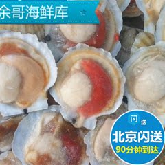 北京闪送鲜活新鲜冷冻扇贝半壳虾夷扇贝王海鲜烧烤食材水产品贝类