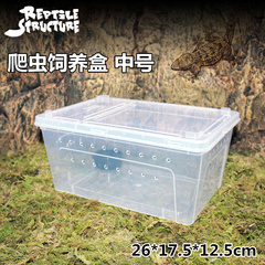 宠物饲养盒带透气孔活体爬虫箱蜘蛛蝎子守宫蛇蜥蜴角蛙乌龟饲养箱