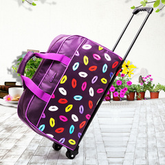 爱尼森 旅行包短途行李包大容量旅行袋20寸手提拉杆包女