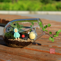 DIY创意苔藓微景观生态瓶 创意斜口炮形多肉植物花瓶透明玻璃饰品