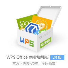 WPS Office 中小企业版 2年授权 官方正版软件