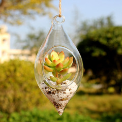 悬挂式多肉植物玻璃花瓶 水晶透明 双尖水培花器 时尚家居工艺品