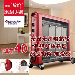 格力取暖器电暖器NDYC-21b-WG电热膜家用办公电暖气两面发热衣架