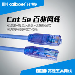 开博尔 KBE-NL-42002 超五类双绞网线 百兆网络跳线 五类直连线