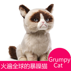 正版美国GUND grumpy cat不爽猫暴躁猫可爱猫咪毛绒玩具仿真小猫