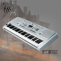 爱尔科61键儿童成人教学初学电子琴 标准钢琴键电子琴ARK-2173
