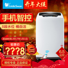 Littleswan/小天鹅 TB65-easy60W 6.5kg家用智能波轮洗衣机全自动
