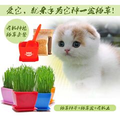 猫草宠物猫零食天然猫草种子套装猫薄荷调理肠胃去毛球猫食品包邮