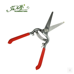 8寸直头家用整枝圆头剪修剪果枝园艺剪刀工具剪经济型修枝剪刀