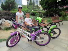 外贸尾单 美国HUFFY赫菲20寸山地车 儿童自行车 学生车