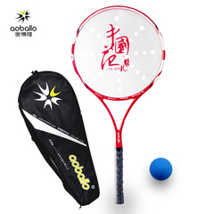 奥博隆太极柔力球拍碳素纤维柔力球拍中国范儿柔力球拍6号