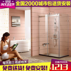 整体淋浴房长方形不锈钢移门沐浴房浴室钢化玻璃冲凉房定制淋浴房