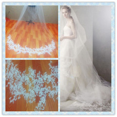 新款韩式新娘vera wang 王微微风格 风格同款3.5米长款拖地头面纱