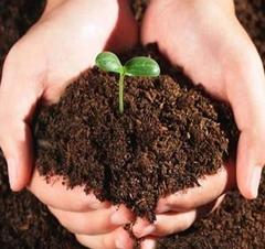 有机营养土泥炭土花肥 轻松透气育苗花土通用培养种花种菜土肥料
