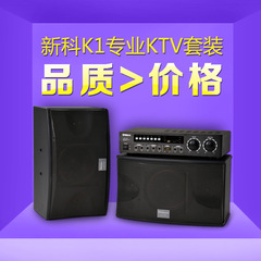 Shinco/新科 K1 KTV音响套装家庭会议卡拉ok设备家用功放K歌音箱