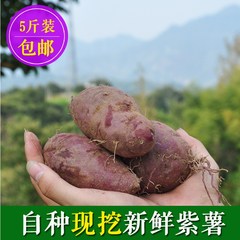 大别山农家自种新鲜紫薯 高山绿色有机紫薯 红薯地瓜山芋现挖现卖