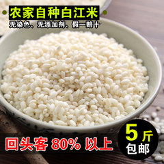 农家自产 优质糯米 江米 圆糯米 包粽子必备 粘大米 黏米 500克